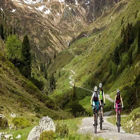 Апартаменты In Neukirchen Near Lift & Sauna Нойкирхен-ам-Гросфенедигер